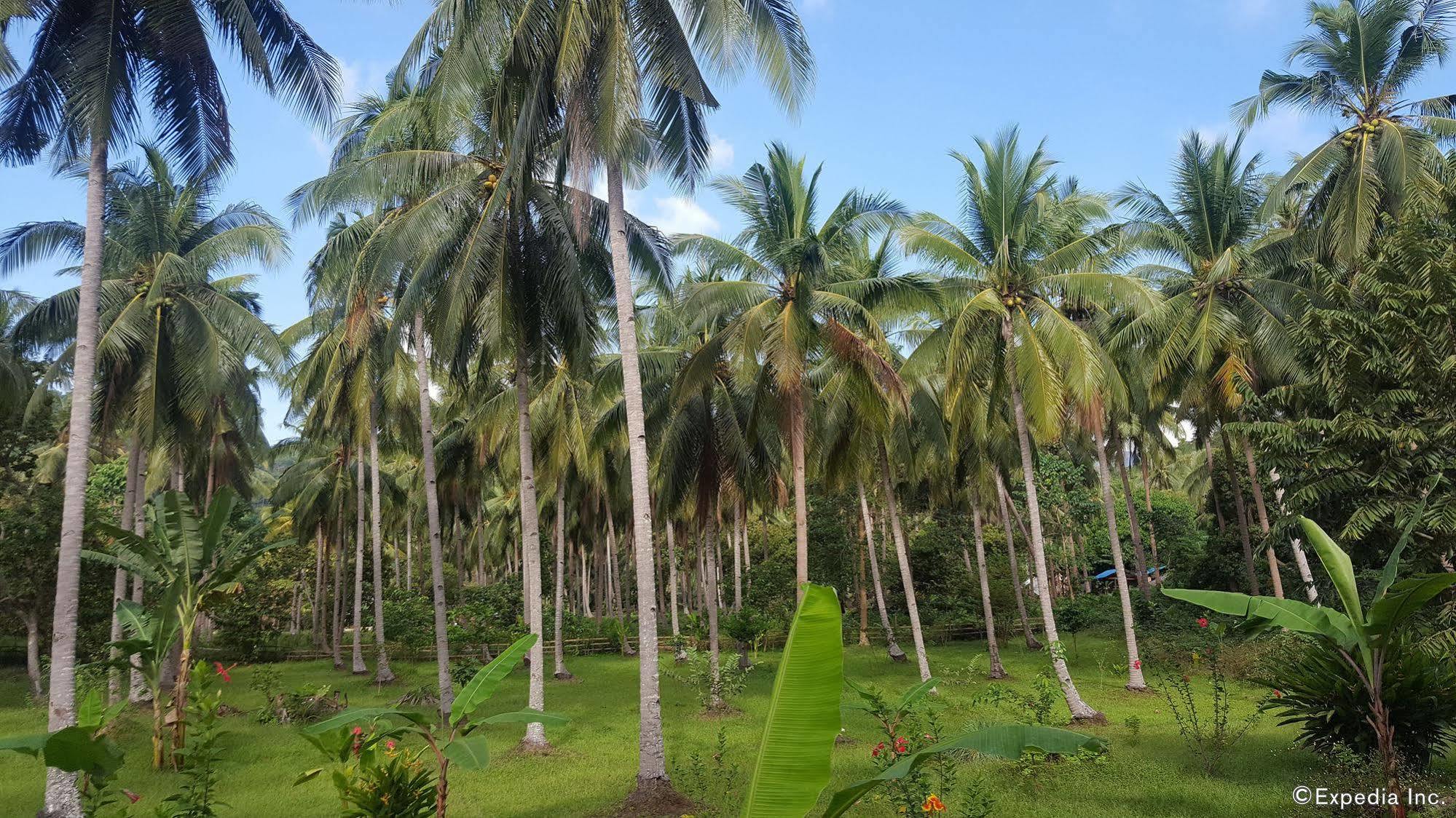 Mangrove Resort Puerto Princesa Luaran gambar